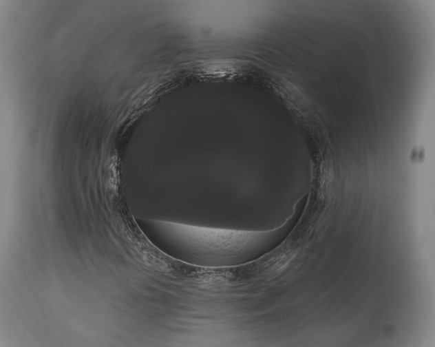 X0000111021394200906191641