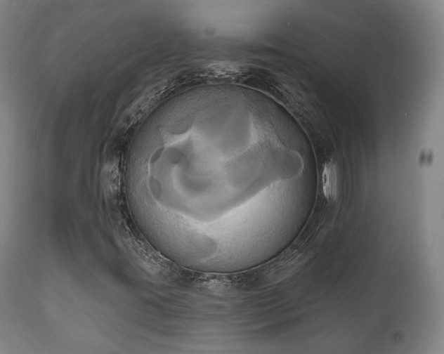 X0000111021395200906191641