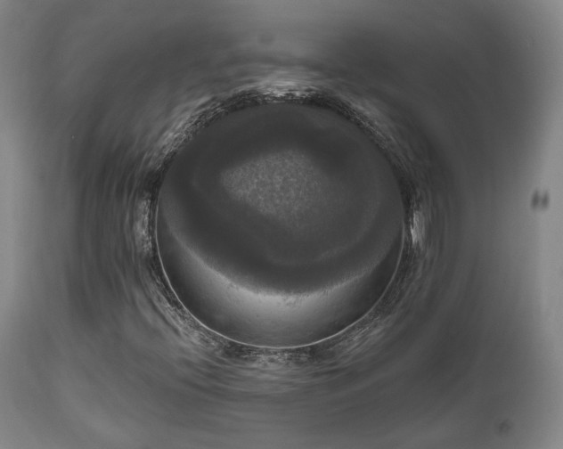 X0000111021396200906191641
