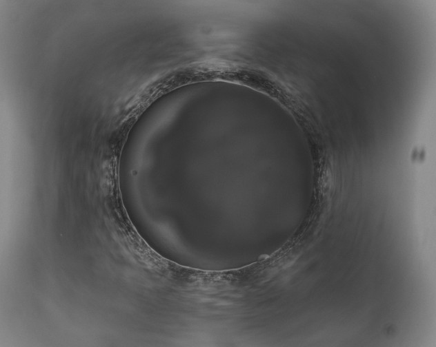 X0000111021397200906191641