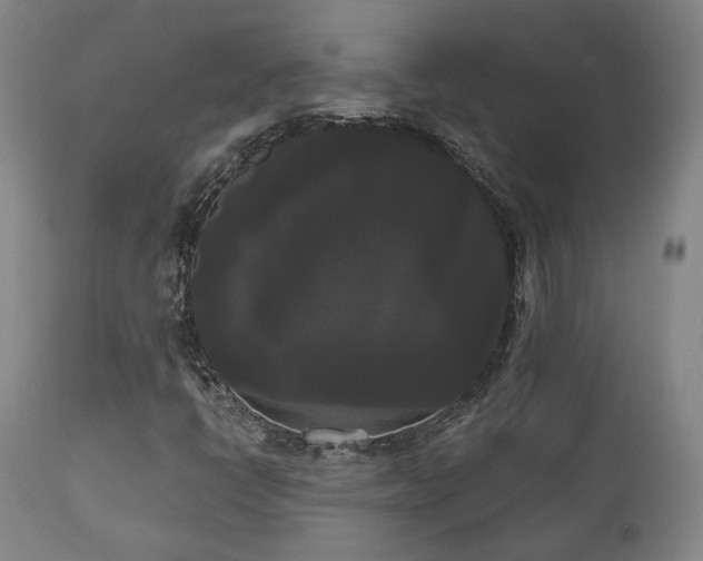 X0000111021398200906191641