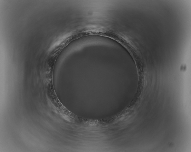 X0000111021399200906191641