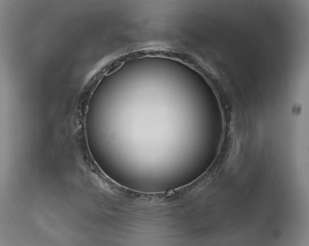 X0000111021400200906191641