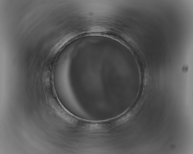 X0000111021401200906191641