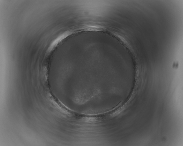 X0000111021402200906191641