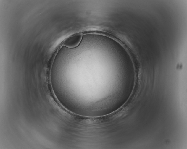 X0000111021404200906191641