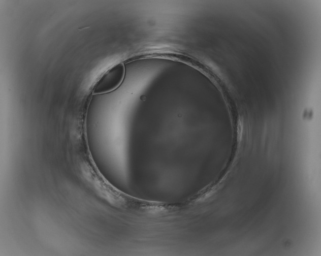 X0000111021405200906191641