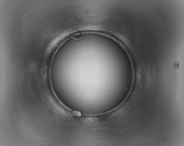 X0000111021406200906191641