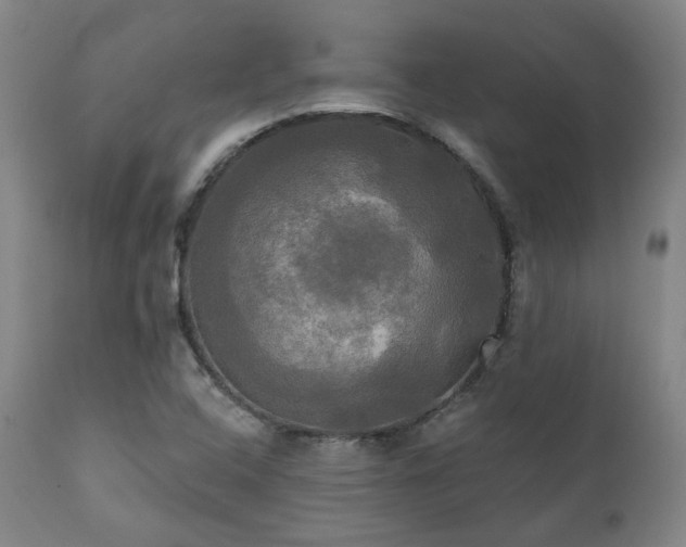 X0000111021408200906191641
