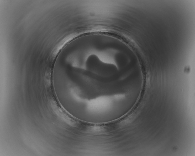 X0000111021409200906191641