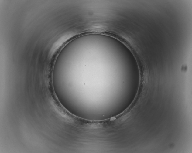 X0000111021410200906191641