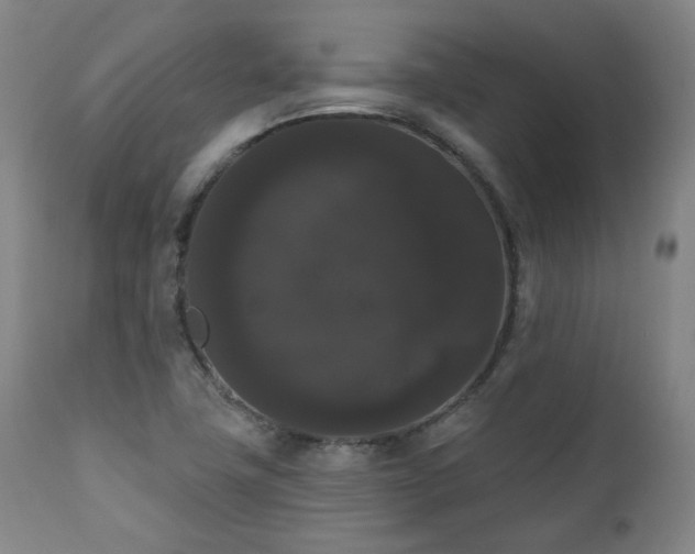 X0000111021411200906191641