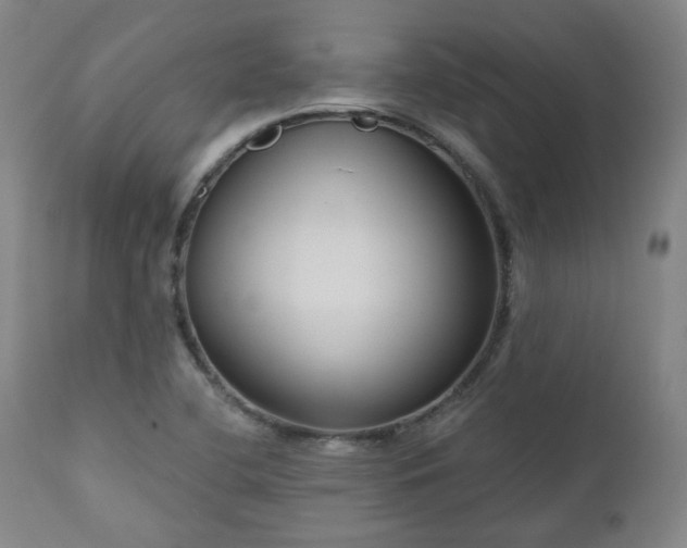 X0000111021412200906191641