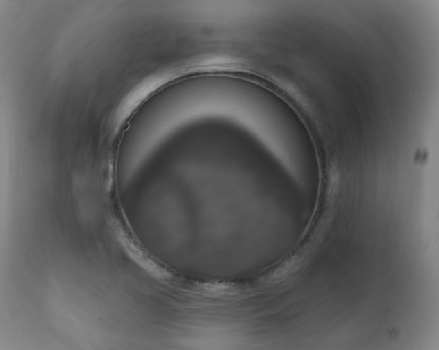X0000111021413200906191641