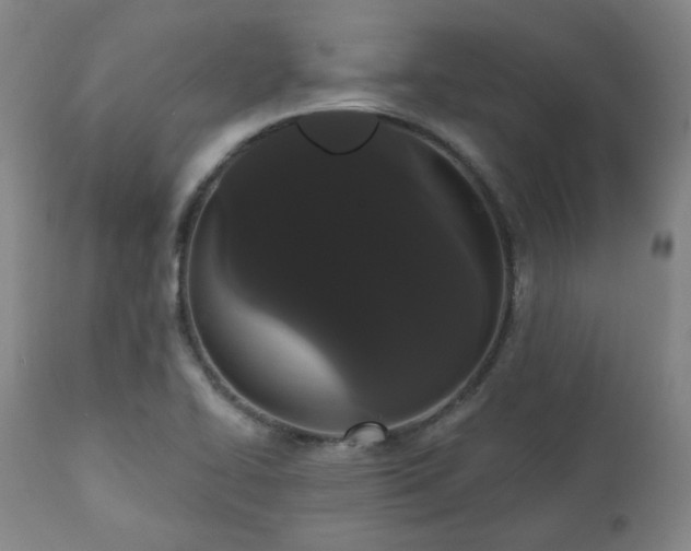 X0000111021414200906191641