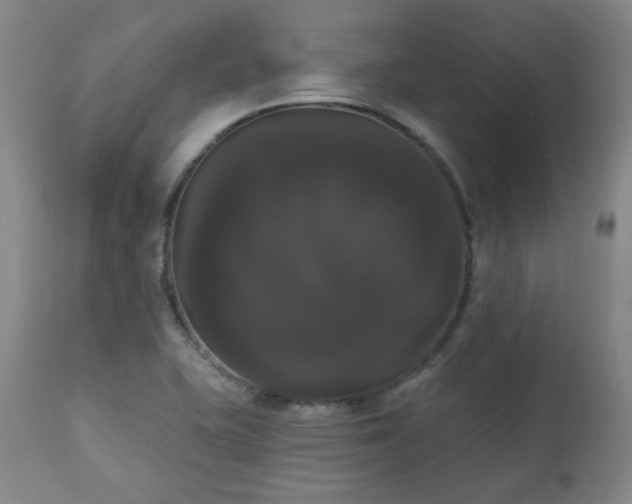 X0000111021415200906191641