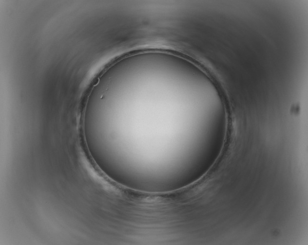 X0000111021416200906191641