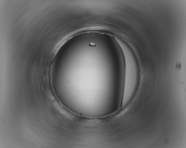 X0000111021417200906191641