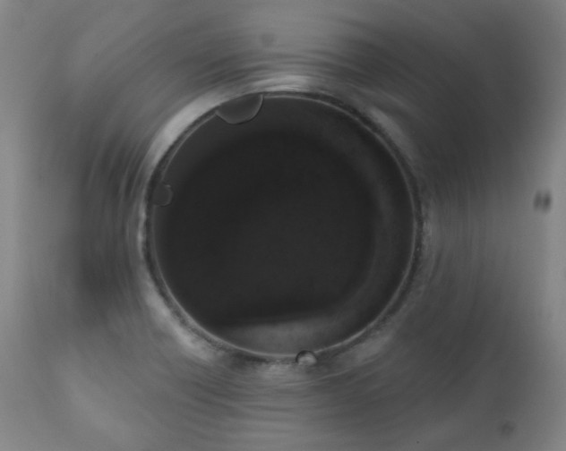 X0000111021418200906191641