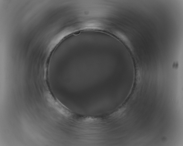 X0000111021419200906191641
