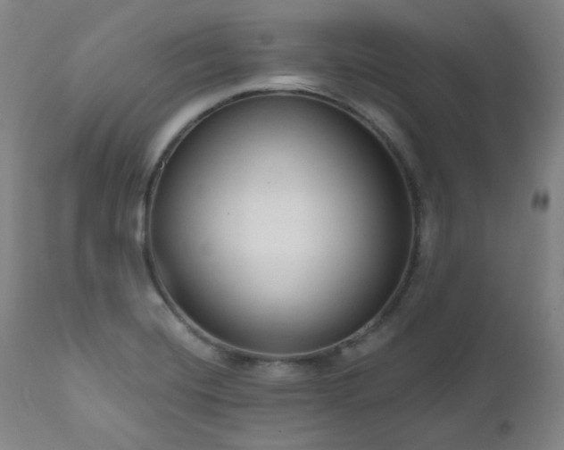 X0000111021420200906191641
