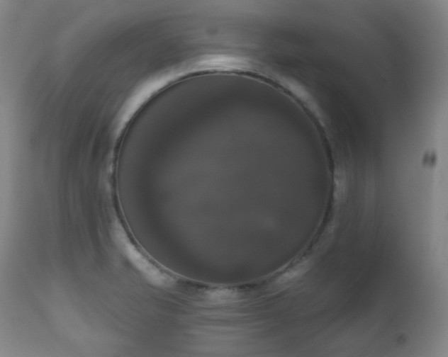 X0000111021421200906191641