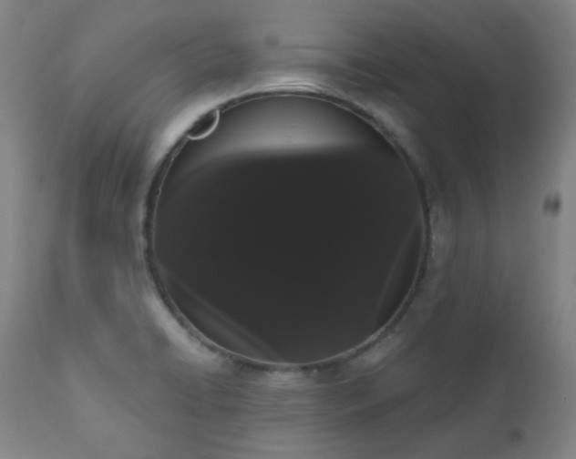 X0000111021422200906191641