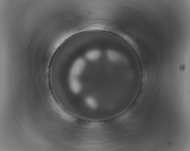 X0000111021423200906191641