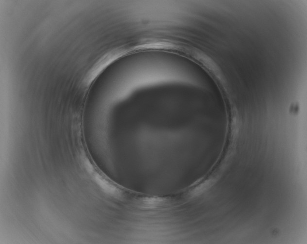X0000111021425200906191641