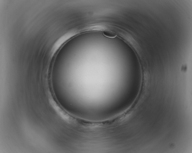 X0000111021426200906191641