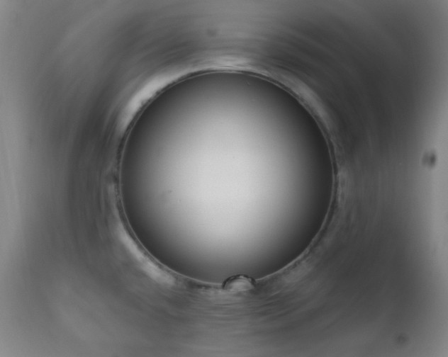 X0000111021432200906191641