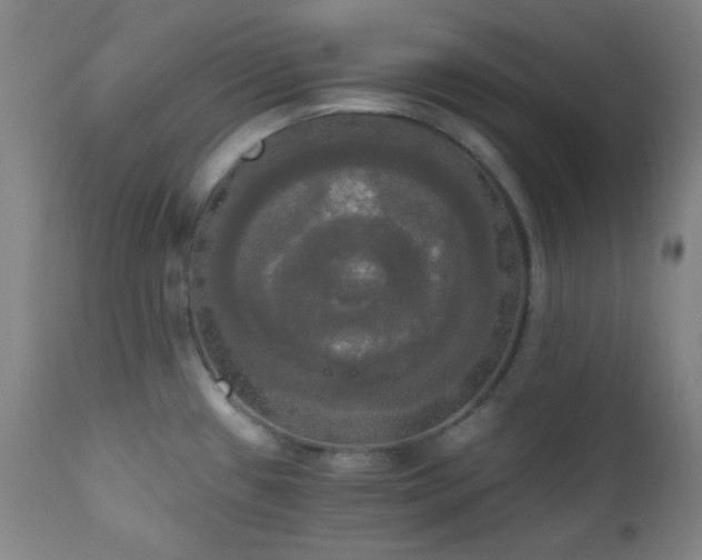 X0000111021433200906191641