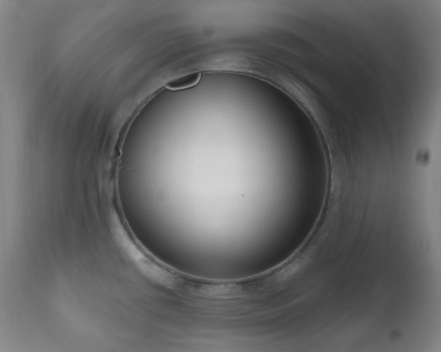 X0000111021434200906191641