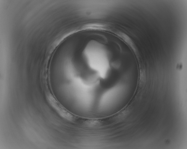 X0000111021435200906191641