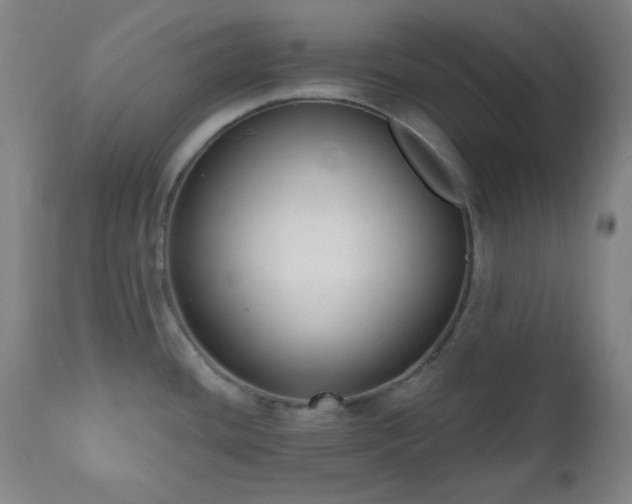 X0000111021436200906191641