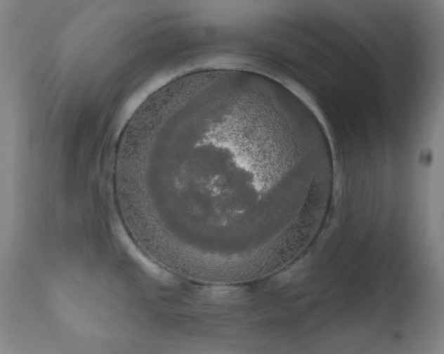 X0000111021437200906191641
