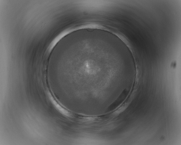 X0000111021438200906191641