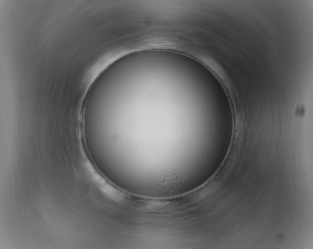 X0000111021439200906191641