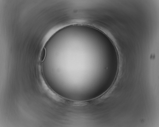 X0000111021440200906191642