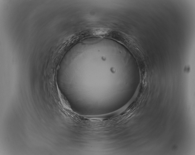 X0000111021441200906191641