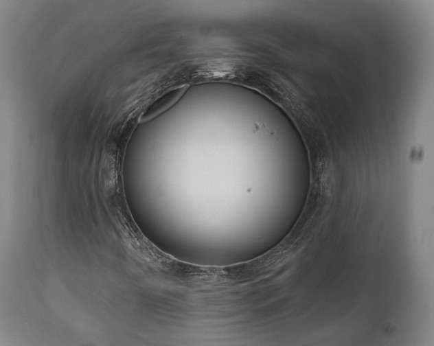 X0000111021442200906191641