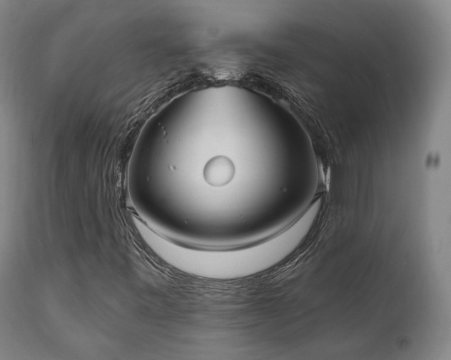 X0000111021443200906191641