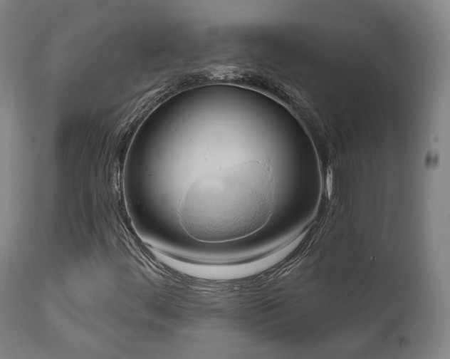 X0000111021444200906191641