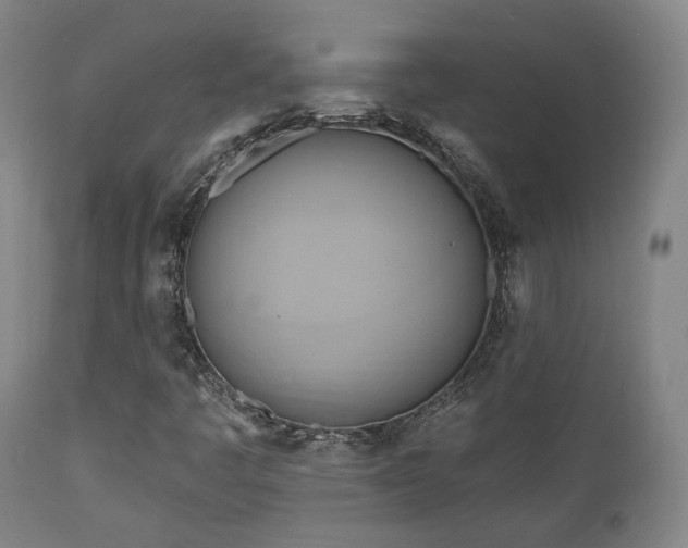 X0000111021445200906191641