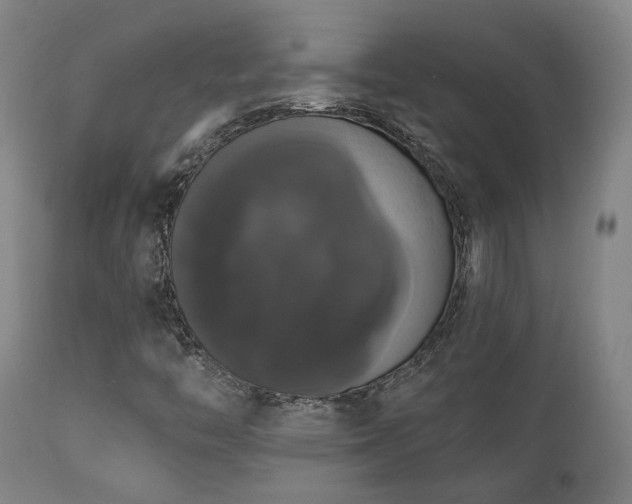 X0000111021446200906191641