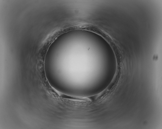 X0000111021447200906191641