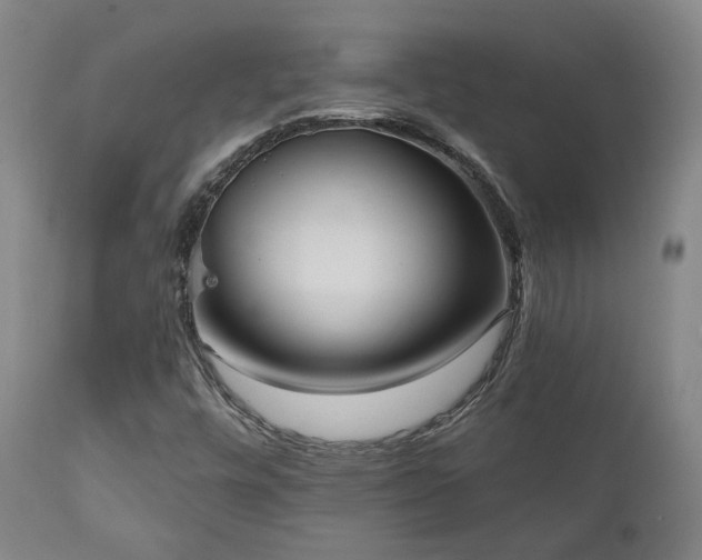 X0000111021448200906191641