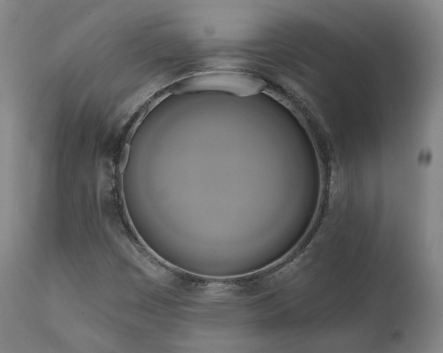 X0000111021449200906191641