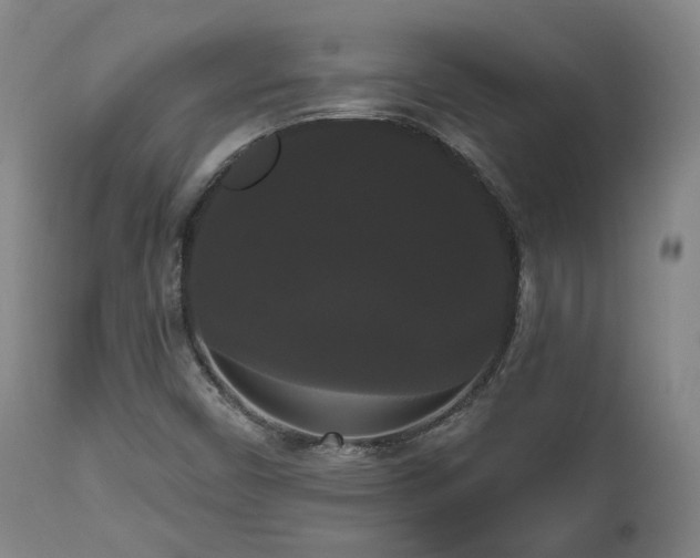 X0000111021450200906191641