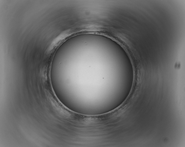 X0000111021451200906191641